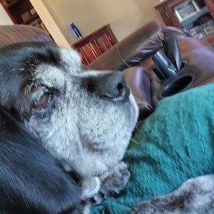 Meet your Posher, Heather